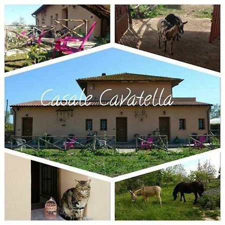 Casale Cavatella Bed and Breakfast Sermoneta Buitenkant foto