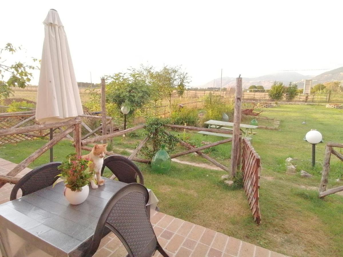 Casale Cavatella Bed and Breakfast Sermoneta Buitenkant foto